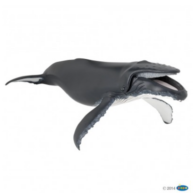 Humpback Whale Papo