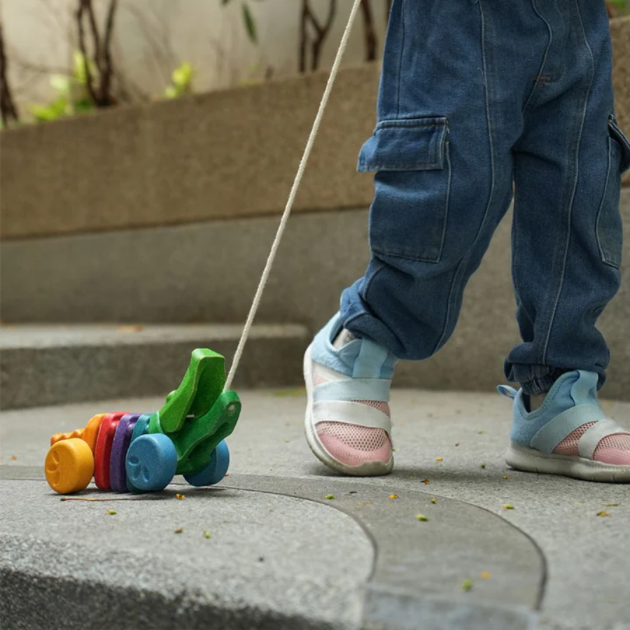 Rainbow Dancing Alligator
