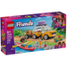 42659 Friendship Road-Trip Travel Car