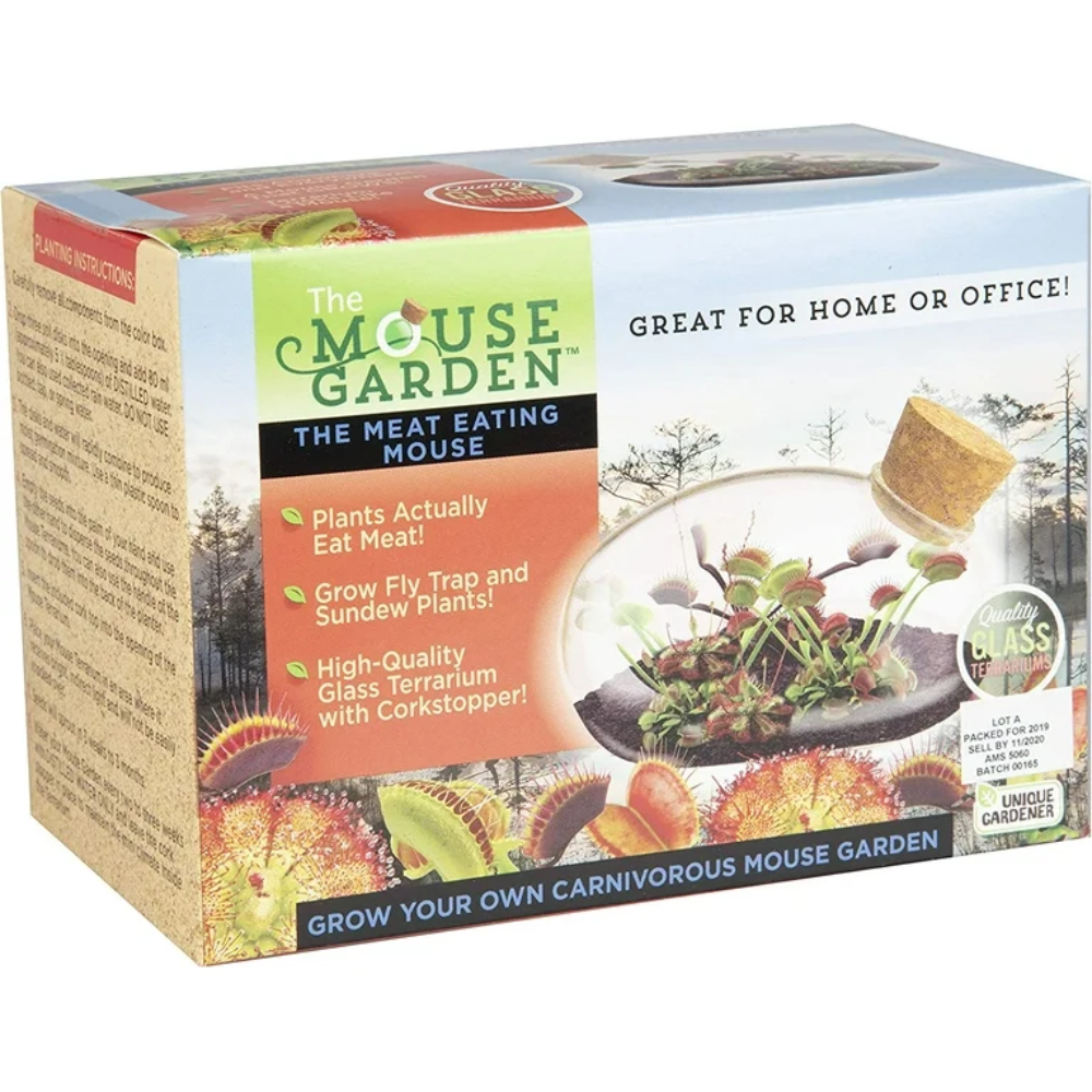 Meat Eating Mouse Terrarium