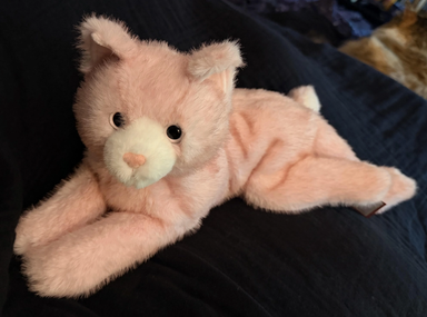 Cherry Pink Cat Dlux