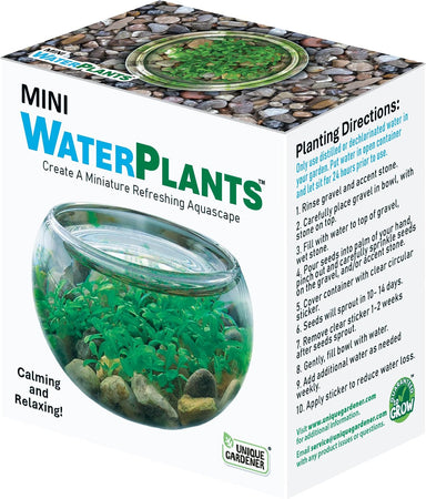 Mini WaterPlants