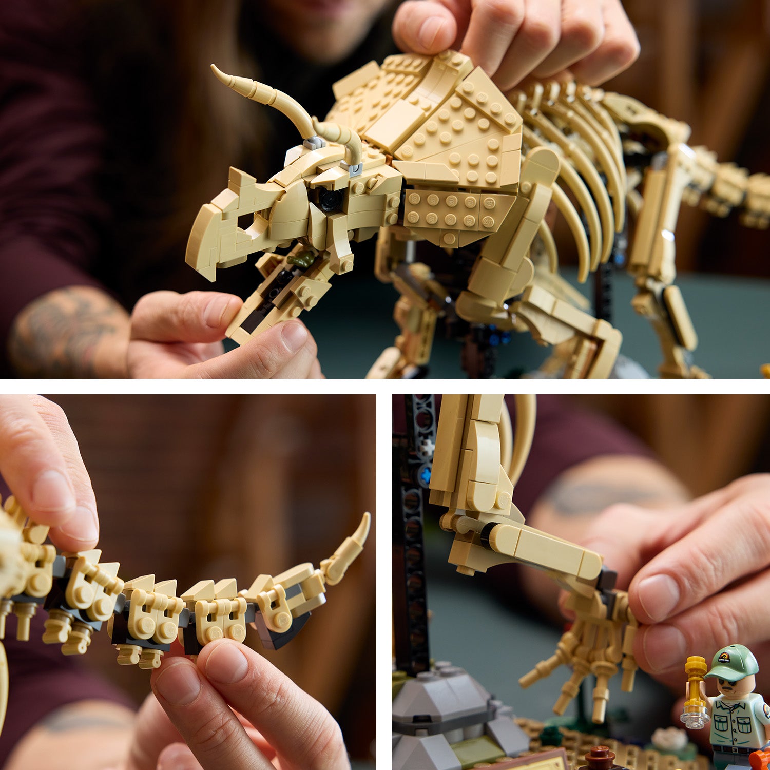 77985 LEGO&reg; Jurassic World Dinosaur Fossils: Triceratops