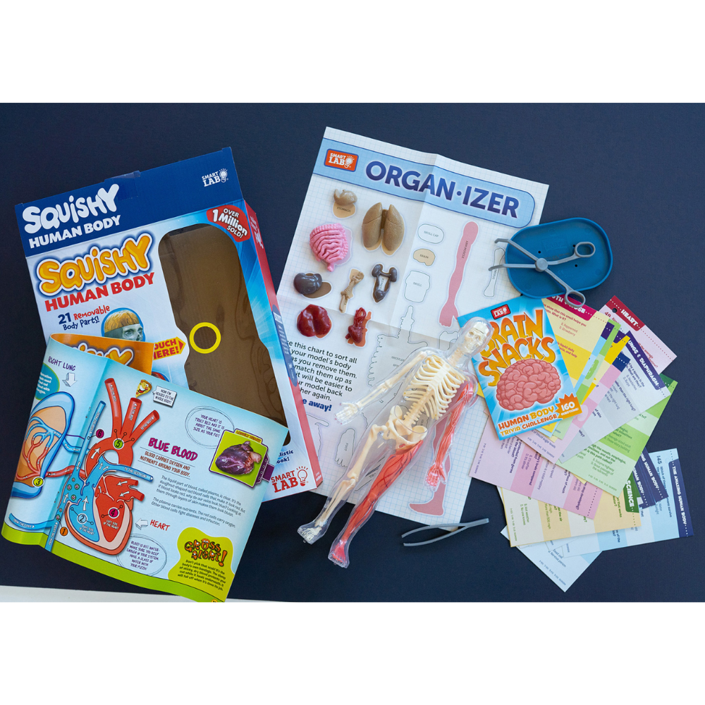 SMART LAB: Squishy Human Body