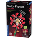 SolarFlower Asst