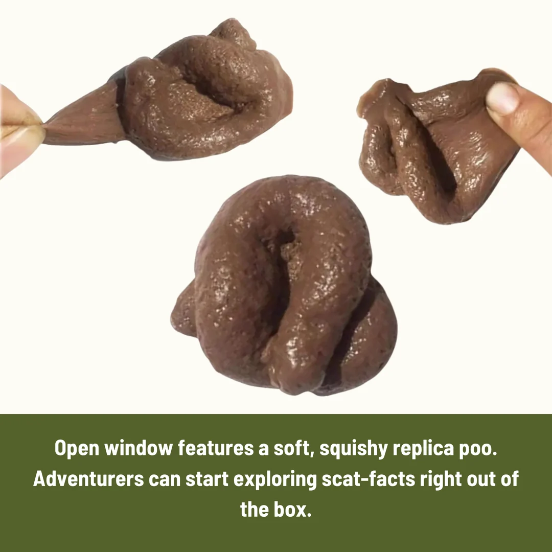 Poo Clues