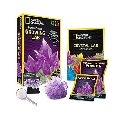 National Geographic Purple Crystal Growing Lab