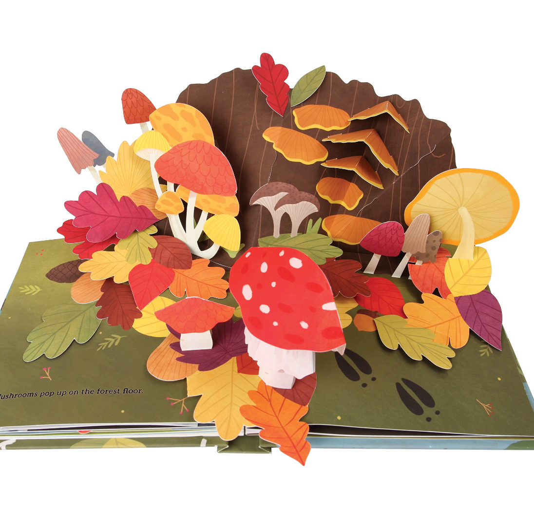 Leaves - An Autumn Pop-Up Book