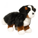 Stevie Bernese Mountain Dog