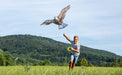 Terra Kids Eagle Kite