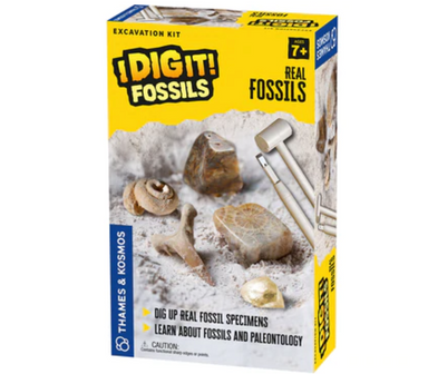 I Dig It! Fossils Real Fossils Excavation Kit