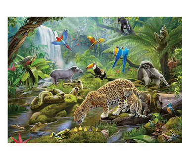 05166 Rainforest Animals 60pc Puzzle