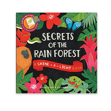 Shine a Light - Secrets of the Rain Forest